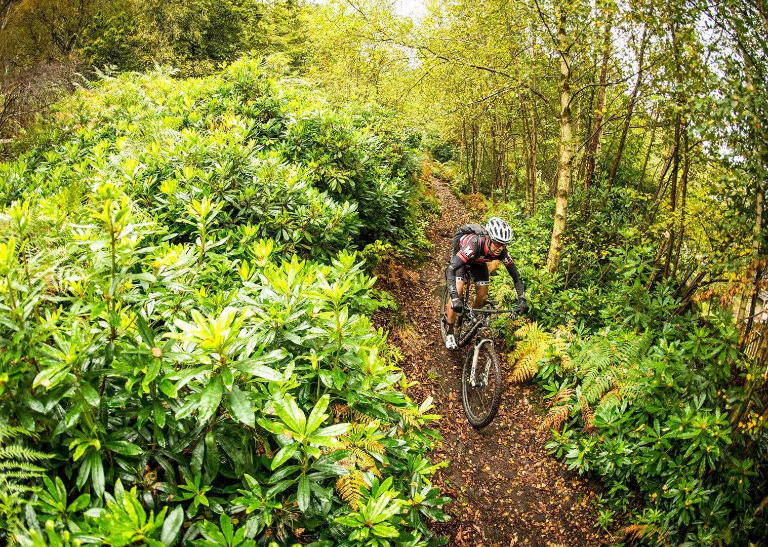 SandStone Way Mountian Biking