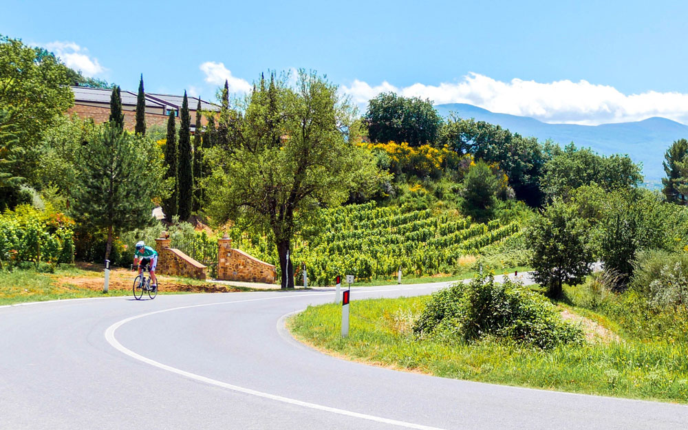 A cyclist on a road through lush Italian countryside