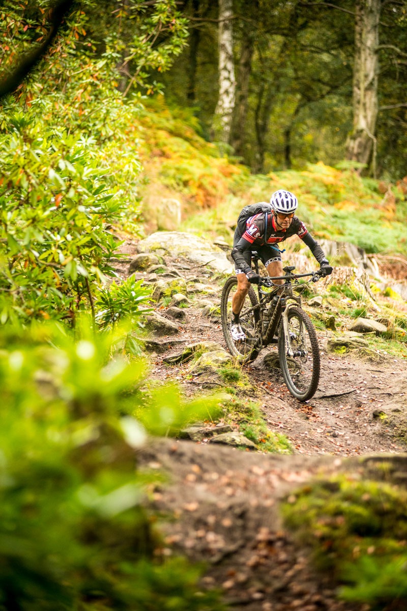 Mountain biker descends a woodland trail