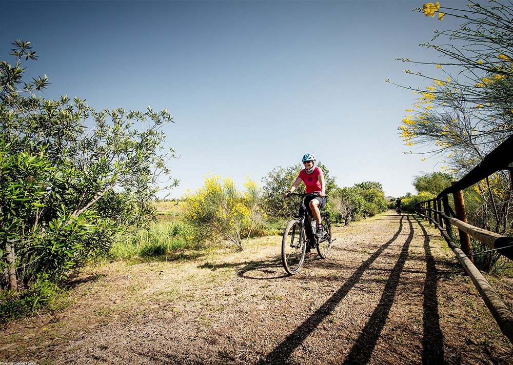 Cycling along a track from Granada to Seville