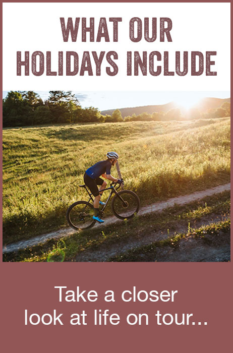 Mountain Bike Holidays and Biking Tours | Saddle Skedaddle