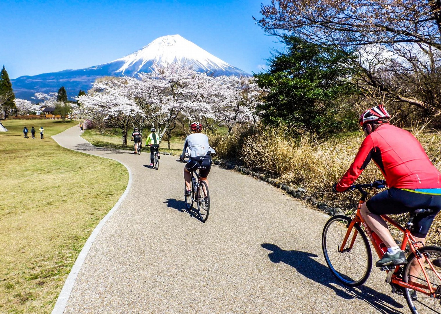 japan bike tour
